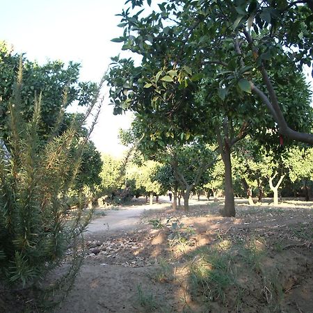 Villa Dei Giardini San Leone Exterior foto